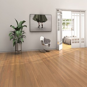 Brazilian Chestnut